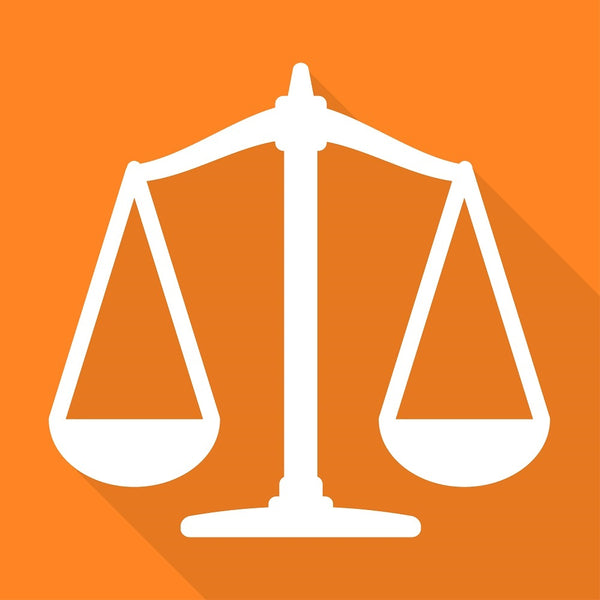 The Role of Court Interpreters in the Judicial System
