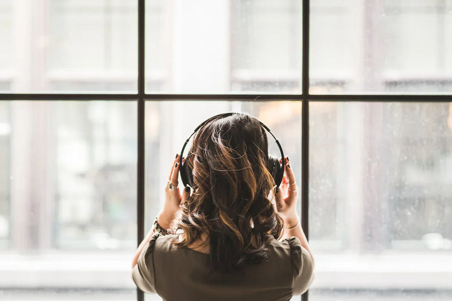 How to Use an Interpreter Pro Lab