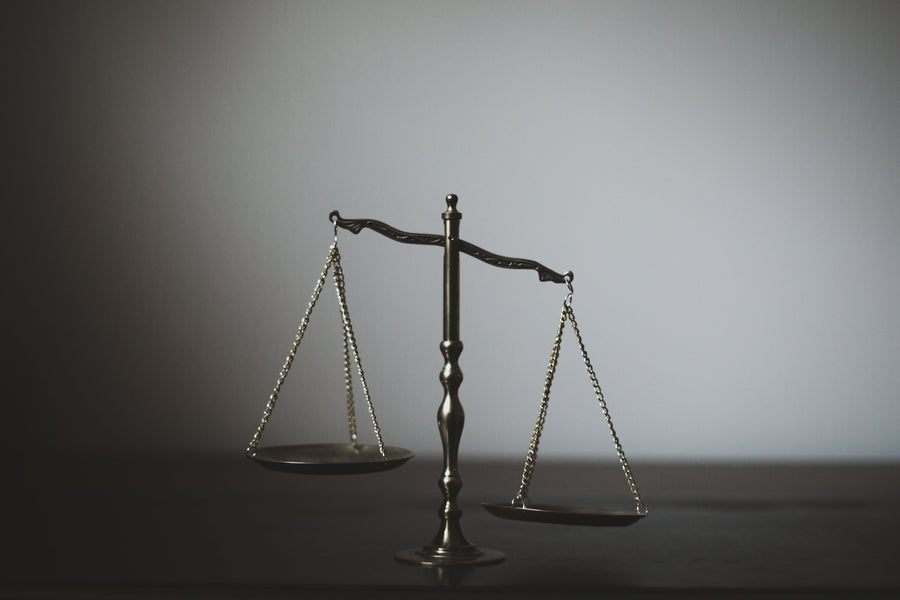 Access over 10 Hours of English & Spanish Court Vocabulary Videos for Only $16